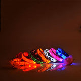 Safety Glowing Pet Collar With LED By Project Pet Lovers Club